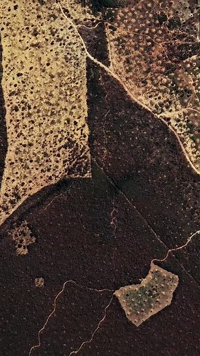 373K views · 7.2K reactions | Welcome to a termite mega-city the size of Great Britain! These tiny insects in #Brazil built a structure larger than any human city. ️羅 #WhatOnEarth #insects #nature | Science Channel | Facebook