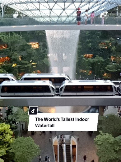 Stop scrolling 🛑 This is your sign to see the world’s tallest indoor waterfall from EVERY angle. ✈️💦 POV: You are in a literal indoor rainforest. 🌿✨ I could watch the water fall forever. Changi really said
