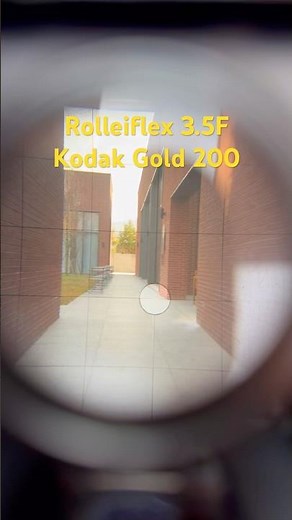 #Rolleiflex 3.5F / Kodak gold 200 #film #filmcamera #kodakgold200