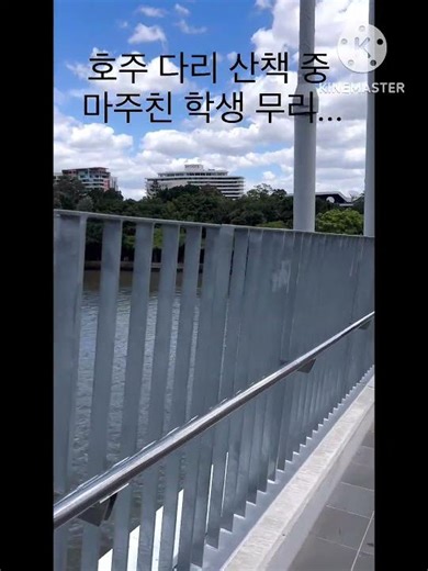 아름다운 날씨와 풍경, 그렇지 못한 학생들의 대화 #호주 #호주워홀 #호주생활 #산책 #브리즈번 #다리
