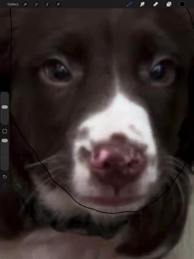 Offering terrible pet portraits 🤣 message me for the link to my store. #petsoftiktok #petart #satire #petphotography #dogsofttiktok