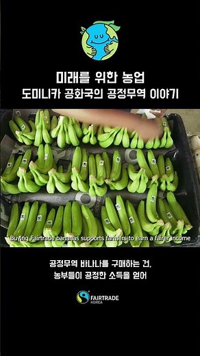 미래를 위한 농업: 도미니카 공화국의 공정무역 이야기 #공정무역 #fairtrade