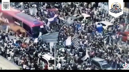 238K views · 7.4K reactions | ..Que se mueran de envidia toditos..旅 Este amor tan sincero y Bonito no lo rompe nadie.‍♂️ ¡ARRIBA ALIANZAAA!! | Locos de la Cabeza 1901 | Facebook