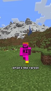 15K views · 327 reactions | the rarest minecraft account #reelsvideoシ #fypシ゚viralシ #fypシ゚シ #reelsviralfb #reelsvideo #reelsfb #Minecraft #minecraftpe #minecraftmemes #funnyposts | Camman18 | Facebook