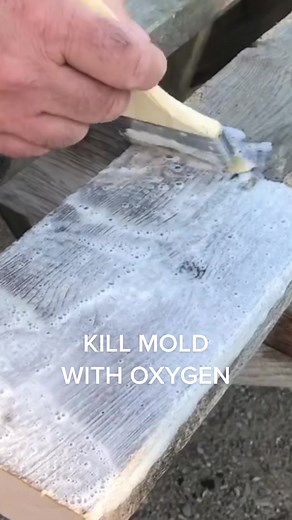 Mold Stain Removal with Next-Gen Oxygen Cleaner