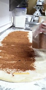 1.6M views · 4.8K reactions | Cinammon Roll | Fat Cat | Facebook