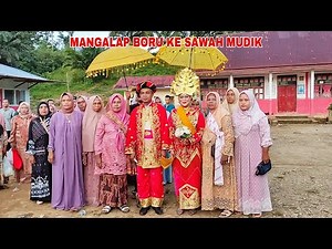 MANGALAP BORU KE SAWAH MUDIK..!! RANGKAIAN ADAT PESTA PERNIKAHAN ANAK KAMI