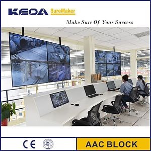 [Hot Item] Autoclaved Aerated Concrete AAC Lightweight Block Making Equipment