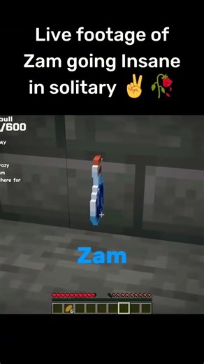 PrinceZam talking to himself in solitary ✌️🥀 Minecraft Unstable Smp #shorts #memes