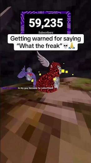 Loving the new update!😐 #gorillatag #vr
