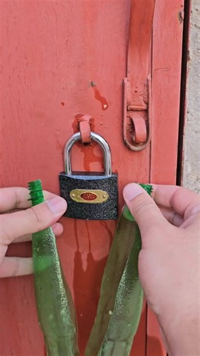 368K views · 1.2K reactions | فكرة ذكية #simple_inventions #اختراعات #experiment #ابتكار #smartphone #diy | إختراعات/inventions | Facebook