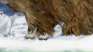 33K views · 658 reactions | Here is a new version with enhanced color of my Fall 2020 book Cozy | Jan Brett | Facebook