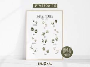 Animal Tracks Print, Animal Footprints Field Guide, Educational Animal Wall Art, Kids Room Decor Animal Paw Prints Decor Animal Tracks Chart - Etsy