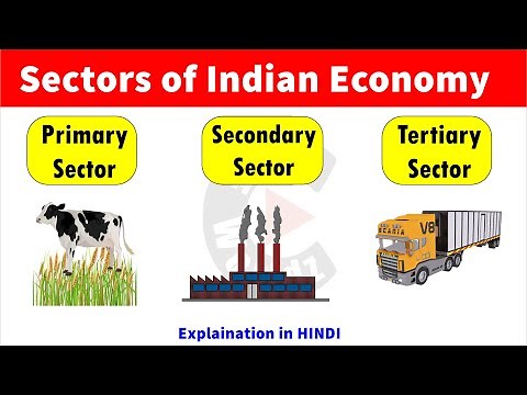 Sectors of Indian Economy | Primary Sector | Secondary Sector | Tertiary Sector