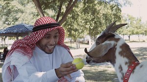 4.9M views · 142K reactions | A Man's Best Friend 藍 | Anwar Jibawi | Facebook