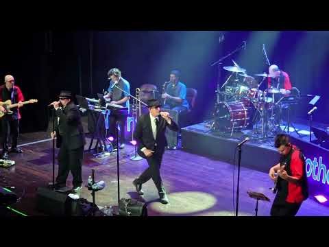 Flip Flop Fly - Transit Brothers Indiana 2025