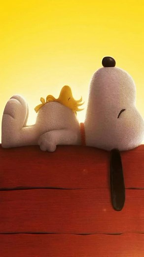 Wallpapers Tumblr on TikTok