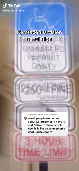 Experience Keratoconus Vision Simulation | Instructor for the Blind