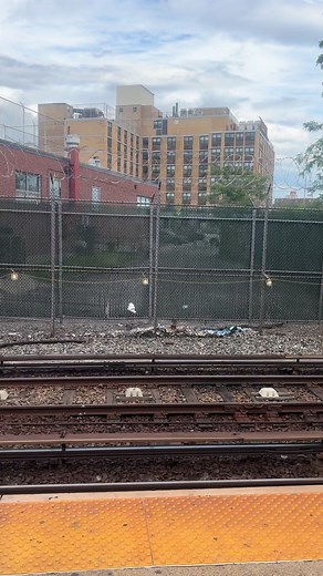 East 105th st station 🚉 Other social medias ⬇️ Patreon: search up ‘JF transit’ Instagram @ jftransit | YouTube @ jftransit | TikTok @ jftransit | 100% MY CONTENT • This Picture/video TAKEN BY ME #mta #subwaysystem #fyp #traintok #railfans #railwaystation #railroad #newyorkcitysubway #locomotive #mtasubway #trains #trainstation #bombardier #nyc #transportation #nyctsubway #metronorth #nycsubways #trains #NYCSubway #metronorth #Subway #Railfanning #NewYorkCitySubway #LIRR #SubwayTrain #amtrak #NY