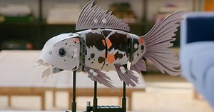 LEGO takes to Indiegogo to release upcoming 300-piece Forma Koi Fish set