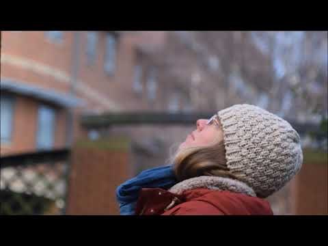 How to do a Bat Transect