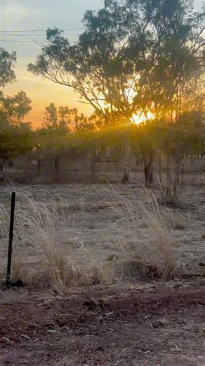 How’d you spend yours ? Share in the comments below 👇 #saltwatercowboylife #liveofftheland #countryandcoast #family | Saltwater Cowboy Life