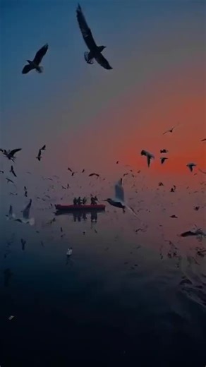 Wareesha✨💗 (@wareesha24680)’s videos with original sound - Wareesha✨💗