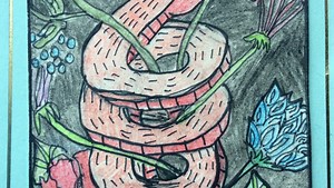 Artsy snakes: 100 'mini masterpieces' of snakes sell for $5 each, help Zoo Knoxville