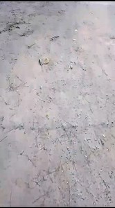 hello friends | Keya aktar