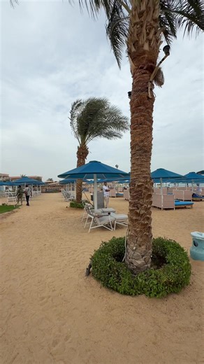 Winter Reality in Hurghada: A Fun Animation