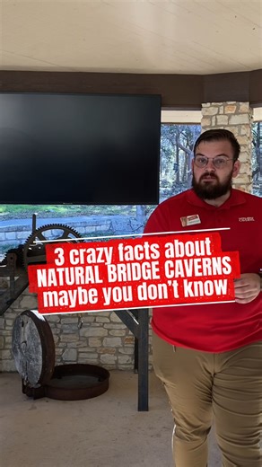 We know you have questions. Like where is the "natural bridge" and why is it there? Why is the cave the same temperature all year? Find out now!! | Natural Bridge Caverns