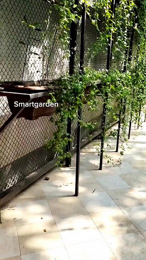 Vertical Fencing | Smart Garden | Facebook