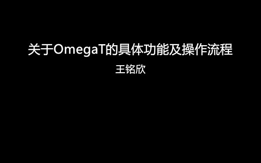关于OmegaT的具体功能及操作流程