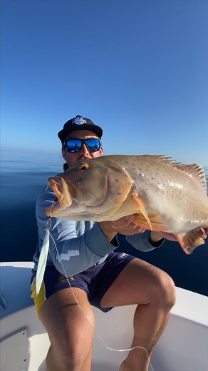 1.2K views | These Firefly Jigs have been designed and tested since...