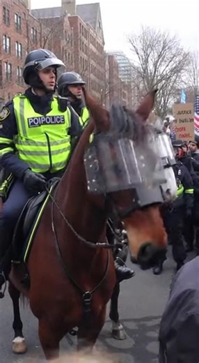 Mounted police officers slowly guide their horses through a packed city street. The sound of hooves on pavement cuts through the noise as people step aside. The horses wear protective gear, standing tall above the crowd while officers scan the area. You can see how calm and controlled they remain, even with shouting and movement all around them. Some people lift their phones, others back up quickly as the line advances. The size and presence of the horses instantly shift the energy in the street