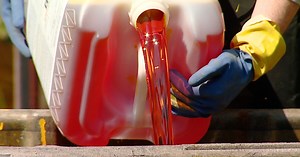 'Vampires of the Great Lakes': Sea lamprey control efforts underway in West Michigan rivers this weekend