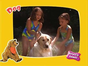 Barney's Colorful World Live Bonus Feature Animals