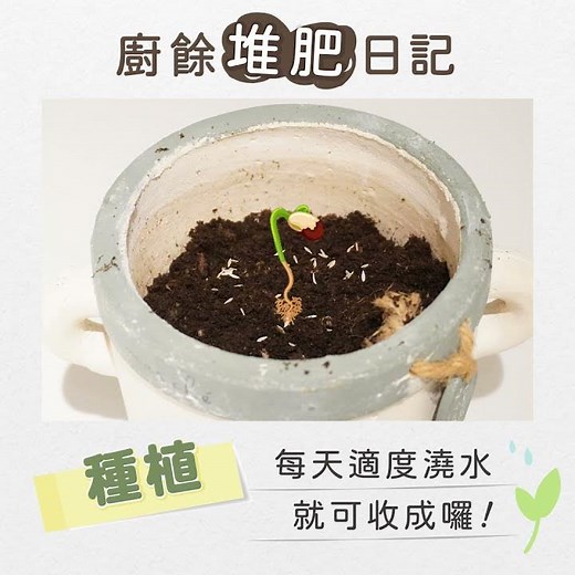 【廚餘機】FoodCycler廚餘大師｜廚餘變堆肥｜堆肥製作看這裡｜靜置→混合→1:10→澆水