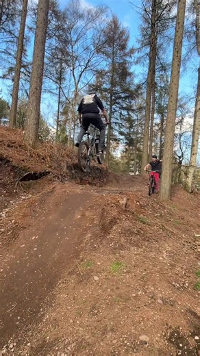MTB Freeride Levels: 50 to 01