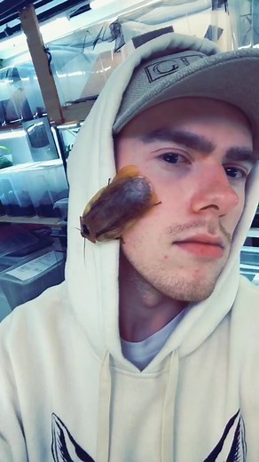 Giant Cockroach 😏 #foryou #animals #viral