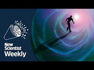 Near death experiences measured in the brain | New Scientist Weekly podcast 188