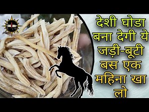 सफेद मूसली के फायदे व खाने का तरीका। Benefits of Safed Musli and how to eat it.