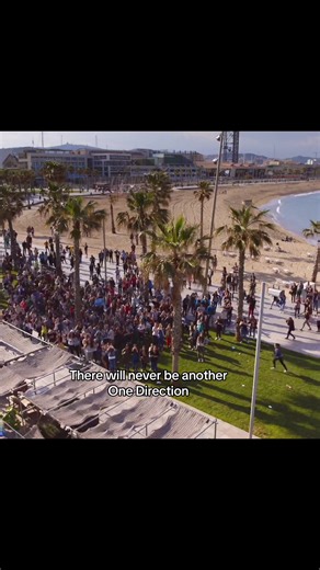 Exploring the Impact of One Direction on Their Fans