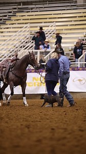 96K views · 2.9K reactions | Q&A: Dealing With Unsolicited Advice...