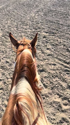 Amanda Atkinson on TikTok