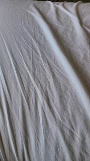 shelby leigh poetry on TikTok