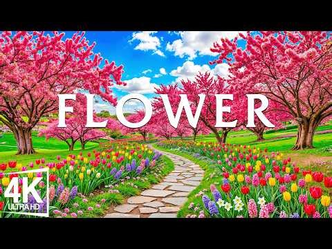 Blooming Spring 2026 in 4K 🌸 Fields Awakening in Color with Soft Light and Fresh Living Air