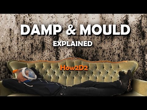 Black Mould Damp and Condensation Explained How to get rid of Black Mold