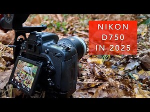 Back to the Nikon D750 late in 2025 | How Did it Go?