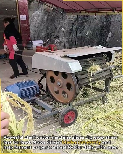 Chaff Cutter Machine Working.